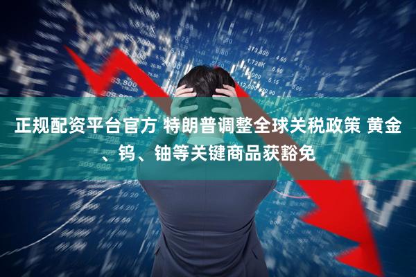 正规配资平台官方 特朗普调整全球关税政策 黄金、钨、铀等关键商品获豁免