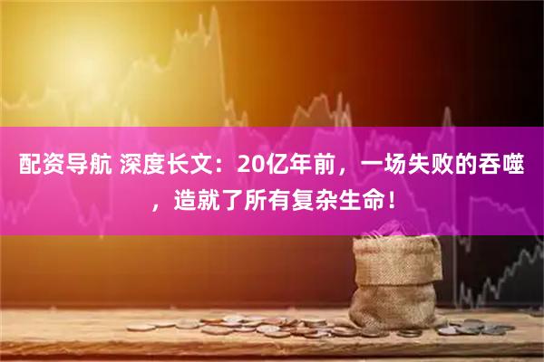 配资导航 深度长文：20亿年前，一场失败的吞噬，造就了所有复杂生命！